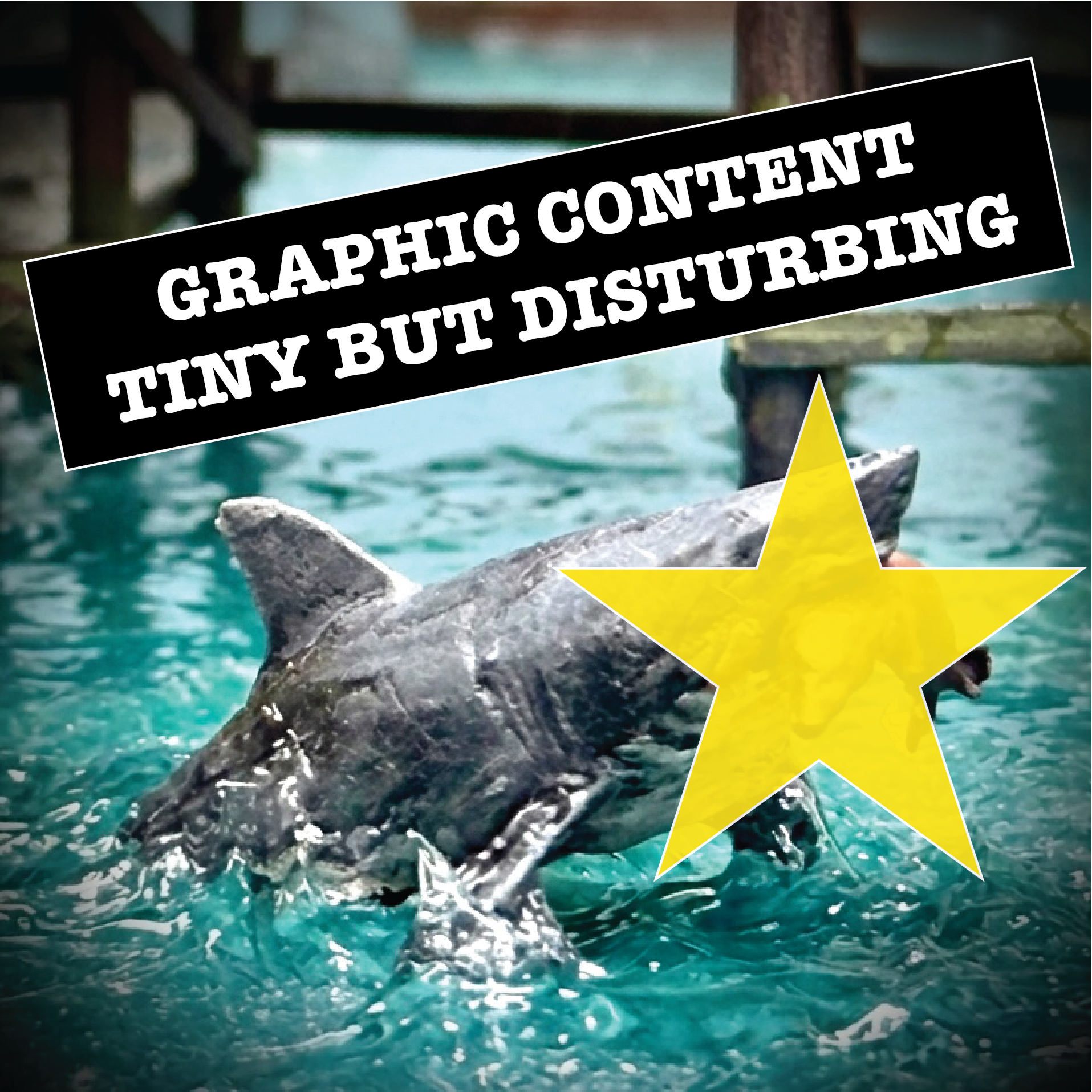 Shark Vs. Sea Lion -  HO Scale Figure